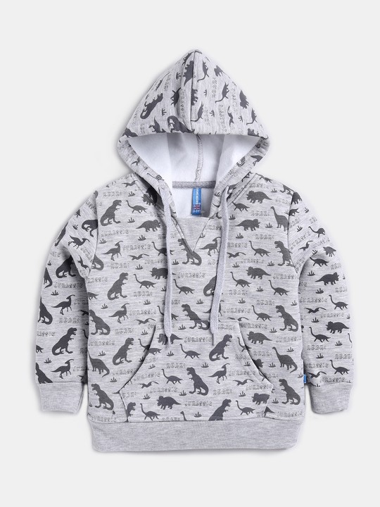 Boys Printed Hooded Sweatshirt